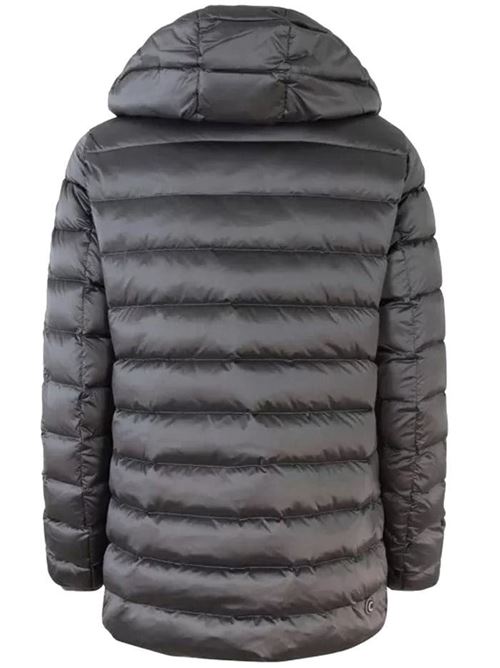  COLMAR | 2226 2YO/506